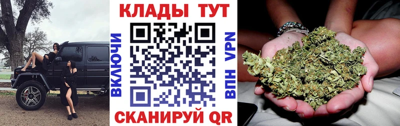 Псилоцибиновые грибы Кувшиново