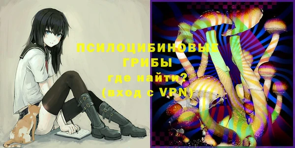 ECSTASY Пересвет