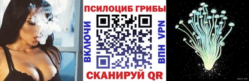 нарко площадка какой сайт Кувшиново Галлюциногенные грибы MAGIC MUSHROOMS